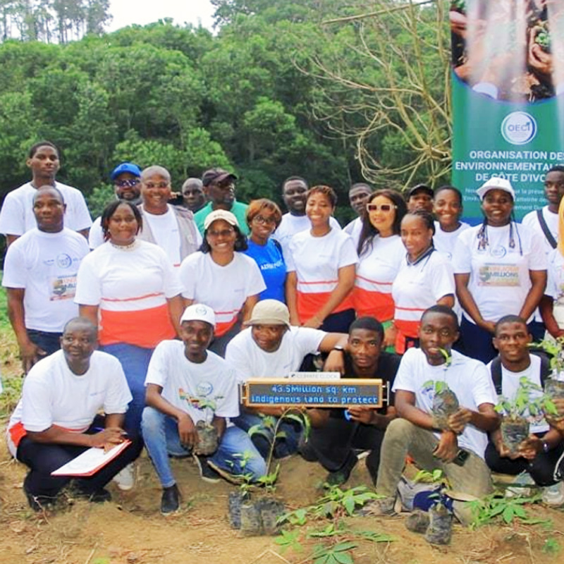 Azito Energie participe à une opération de planting d’arbres à la forêt d’Anguedégou